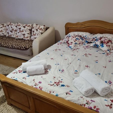 Garsoniera Emilia Apartamento Câmpulung Moldovenesc Exterior foto