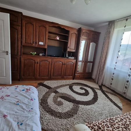 Garsoniera Emilia Apartamento Câmpulung Moldovenesc Exterior foto