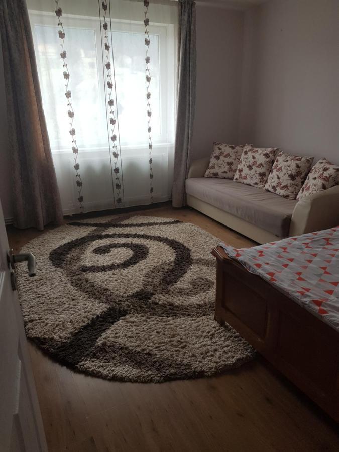 Garsoniera Emilia Apartamento Câmpulung Moldovenesc Exterior foto