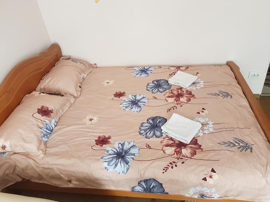 Garsoniera Emilia Apartamento Câmpulung Moldovenesc Exterior foto