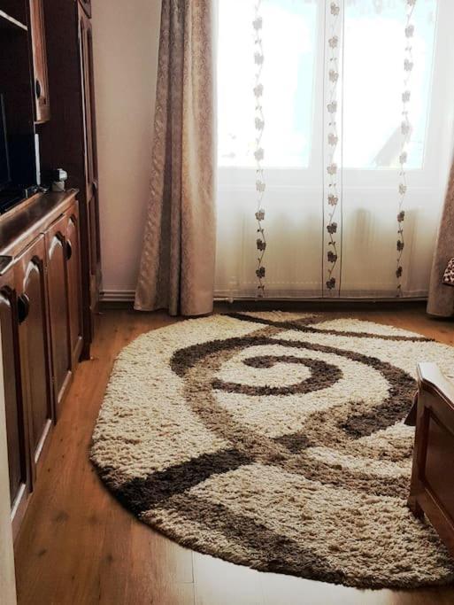 Garsoniera Emilia Apartamento Câmpulung Moldovenesc Exterior foto