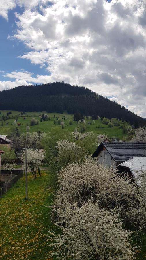 Garsoniera Emilia Apartamento Câmpulung Moldovenesc Exterior foto