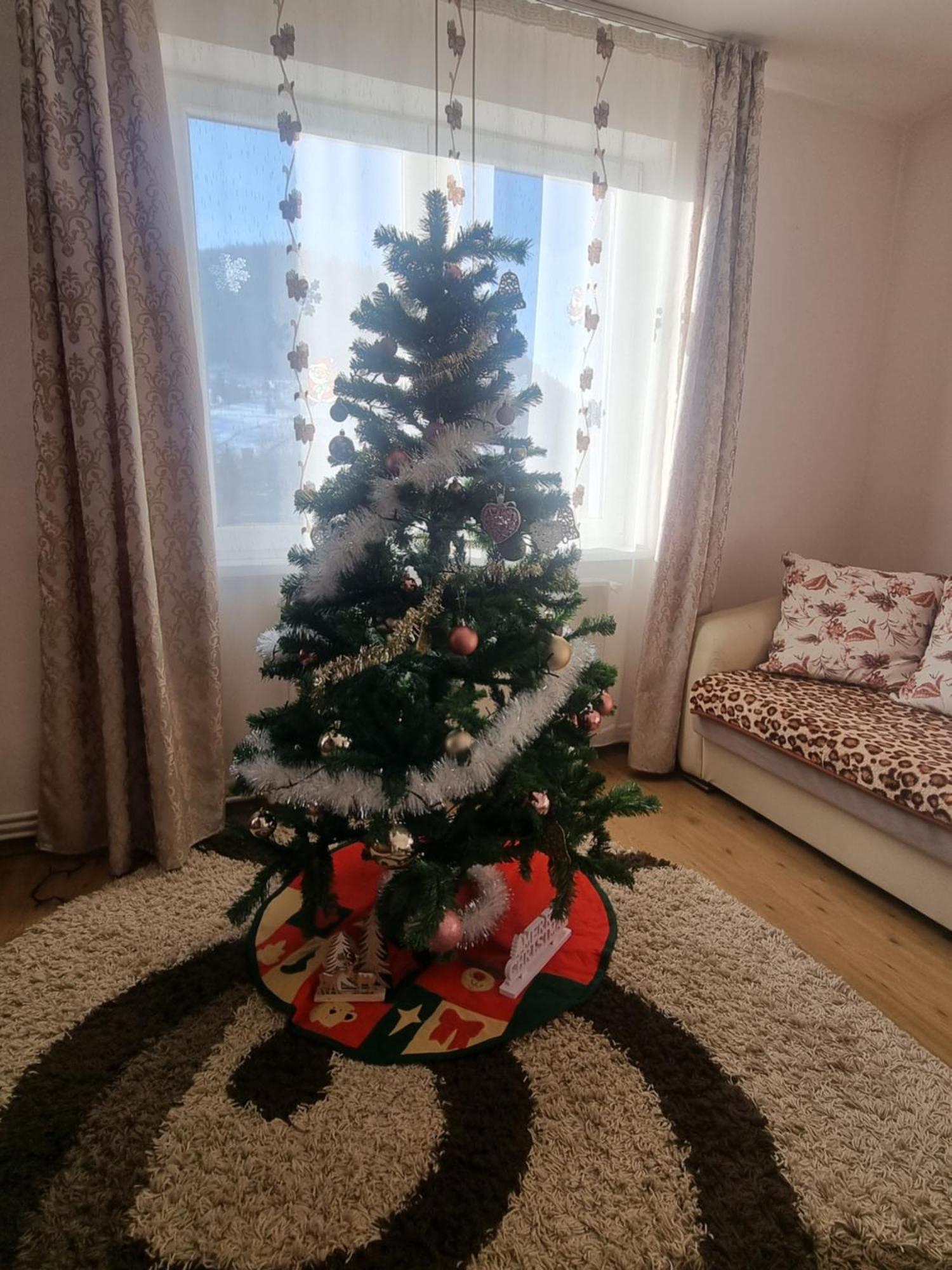 Garsoniera Emilia Apartamento Câmpulung Moldovenesc Exterior foto