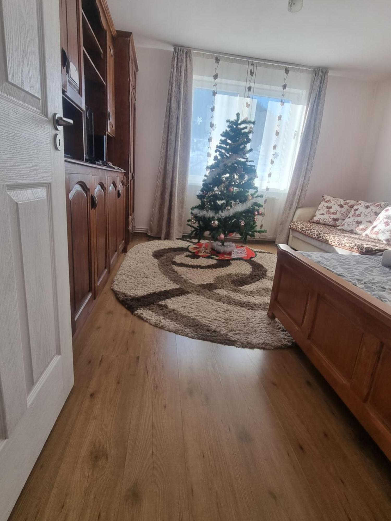 Garsoniera Emilia Apartamento Câmpulung Moldovenesc Exterior foto